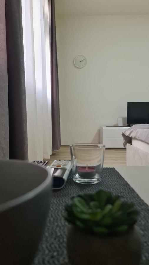 Apartman Pavlovic Leskovac  Exterior photo